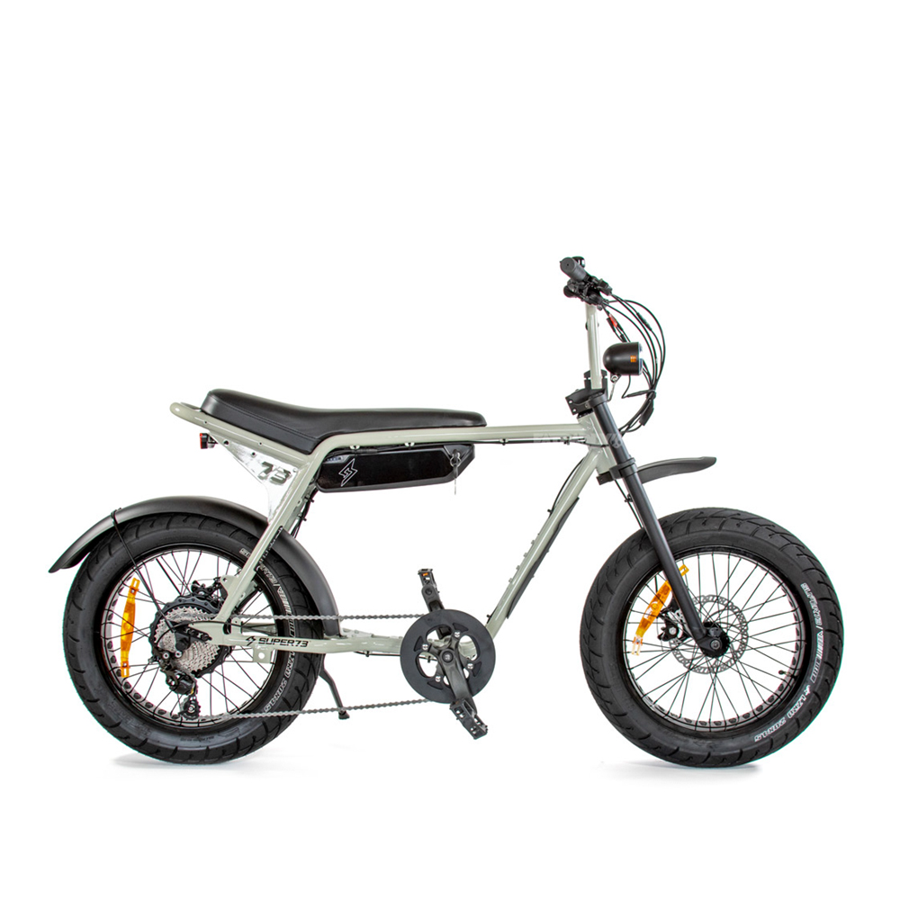 Electric Fatbikes