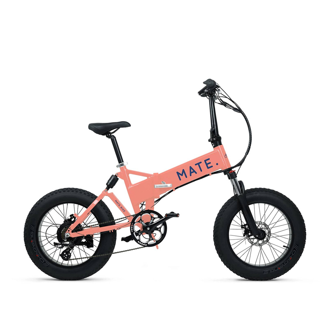 Electric Foldable Bikes