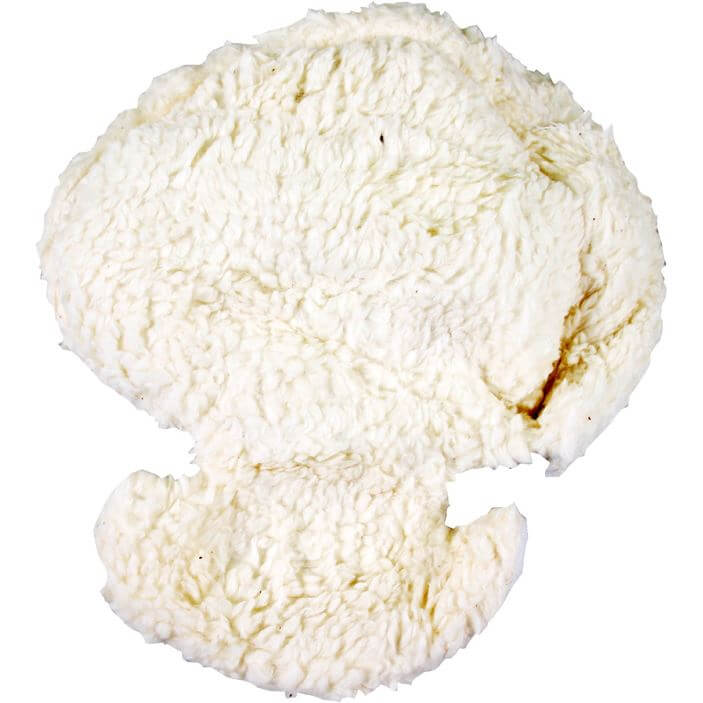 Melia Head Reducer Plus 0-9 Months Sheep