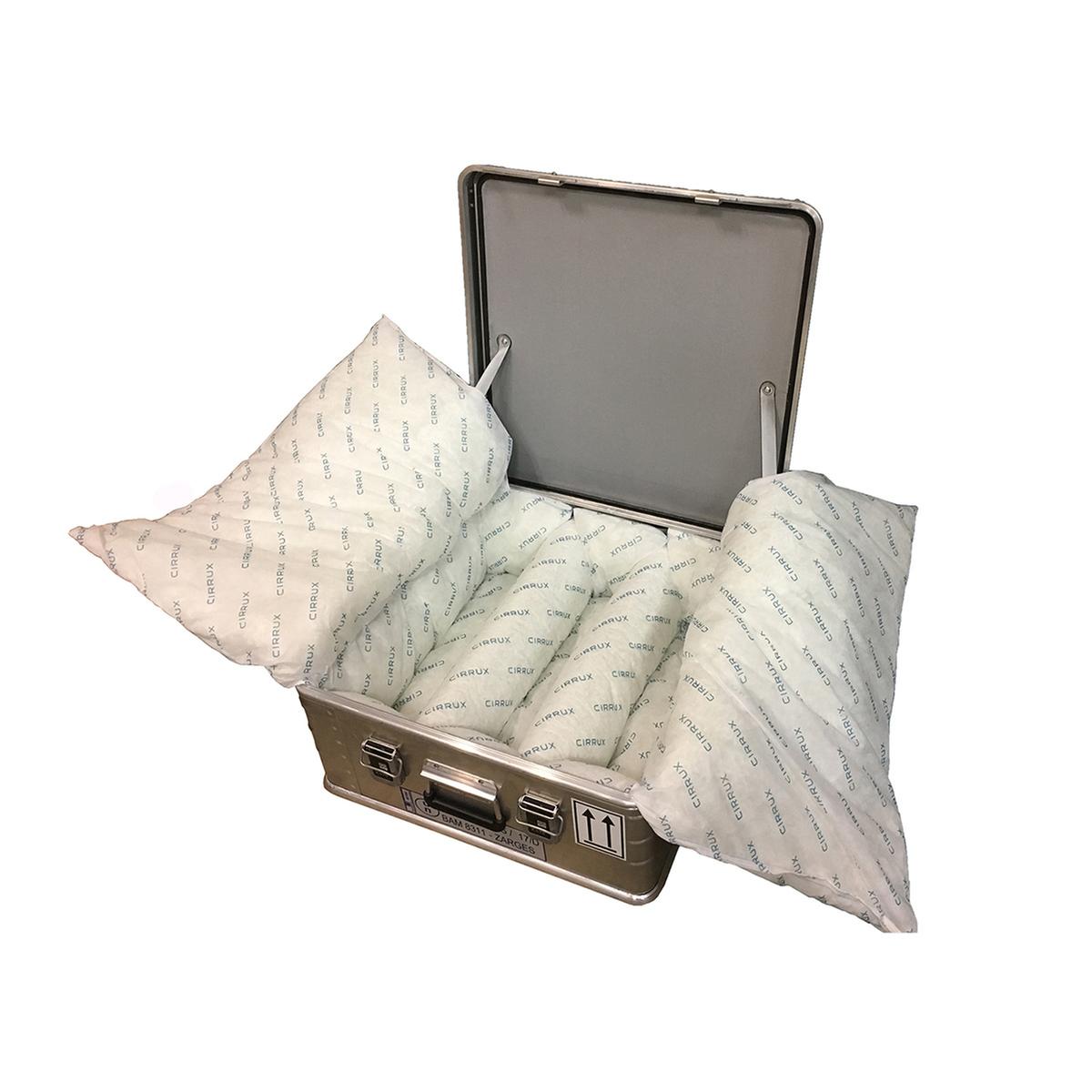 Container for hazardous materials "Accu Safe