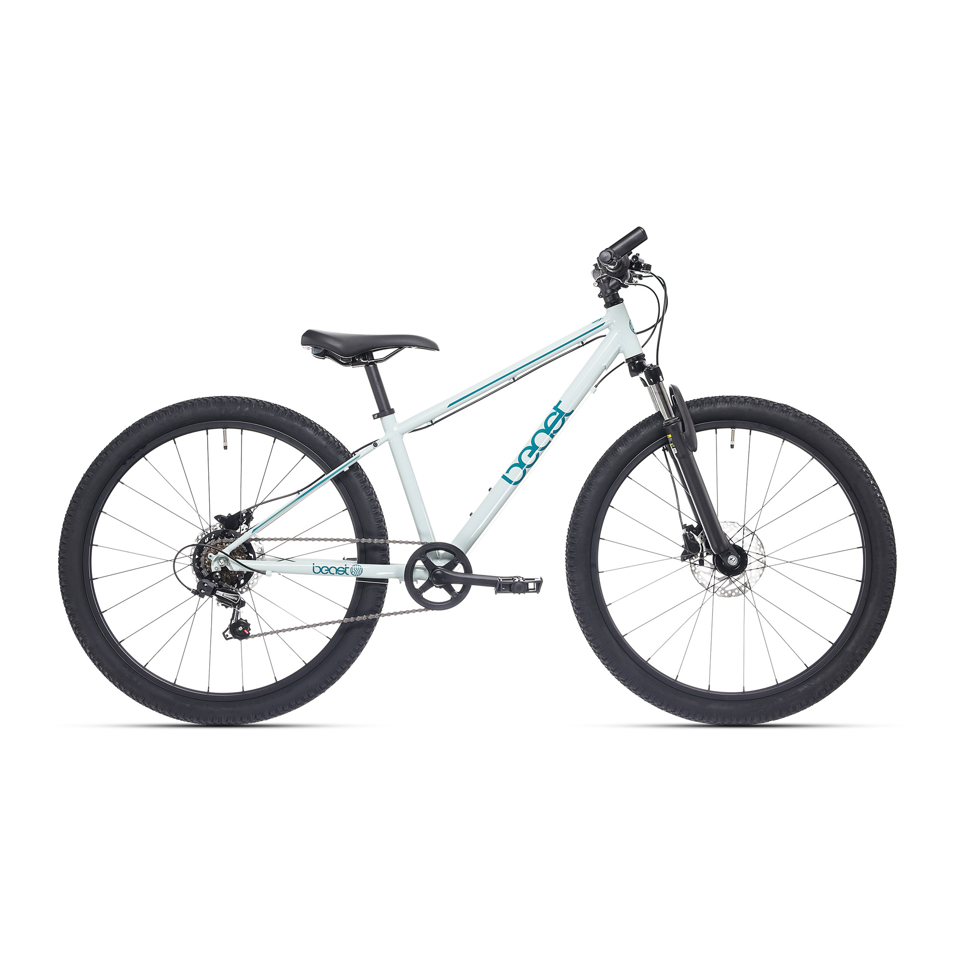 BFN boys' bike The Beast 26" 6-speed disc green
